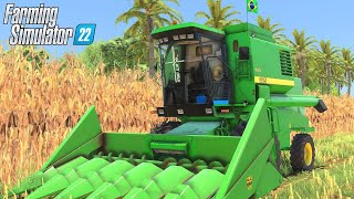 1175 VOLTO QUALIFICADA DA REFORMA  CAMPINA DAS MISSÕES  FARMING SIMULATOR 22  09 G29 [upl. by Fendig634]