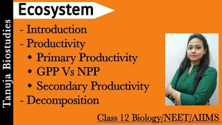 Ecosystem  Introduction  GPP Vs NPP  Decomposition Decomposer DetritusLeaching Class 12NEET [upl. by Yojal]