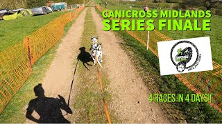 CANICROSS MIDLANDS series finale 4 DAYS of RACING [upl. by Teage]