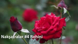 Nakşatralar 4 Rohini Nakşatrası  Rohini Nakshatra [upl. by Roumell]