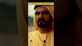 Powerful amp Richest Sheikh  Princess Ameera Al Taweel Husband 😳😱 ytshorts ameeraaltaweel [upl. by Limay]