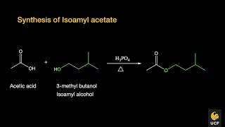 Synthesis of isoamyl acetate overview and QampA [upl. by Aiuoqes460]