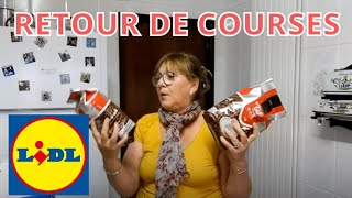 Retour de courses Lidl  quelques provisions et en voiture pour la France [upl. by Monteria]