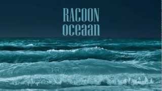 Racoon  Oceaan Lyrics [upl. by Senaj470]