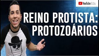 PROTOZOÁRIOS Reino Protista A melhor aula da Internet │Biologia com Patrick Gomes [upl. by Sothena564]