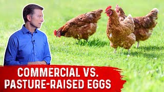 Commercial Eggs vs PastureRaised Eggs – DrBerg [upl. by Rawlinson]