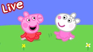 Peppa Pig Full Episodes 🌈 Peppa Pig STREAMING NOW 🌟 Kids Videos 🔴 [upl. by Camm]