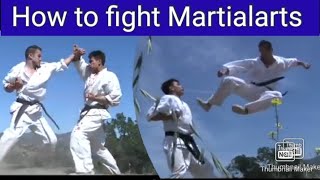 How to fight Martial Arts  Fight inspiration movie [upl. by Canning]