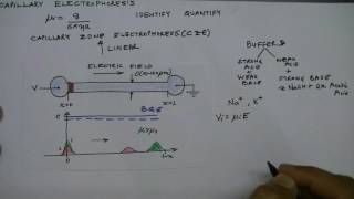 Lecture 29 Capillary Electrophoresis Introduction [upl. by Hcra612]