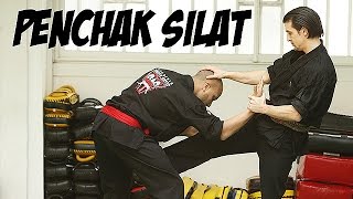 PenchakSilat avec Michael Illouz 4ème Dan FFKDA [upl. by Retsae176]