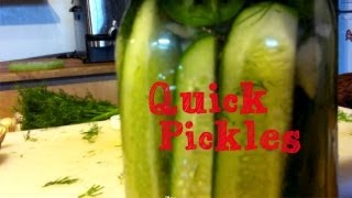 Sweet and Spicy Refrigerator Dill Pickles  5 Minute Recipe [upl. by Herrmann]