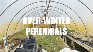 Winter Greenhouses Behind The Scenes [upl. by Notsur]