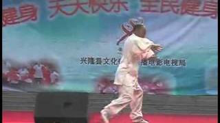 Yao Fuchun style Taijiquan [upl. by Ruffo]