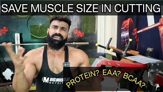 Best supplement to prevent muscle loss in cutting [upl. by Eenat462]