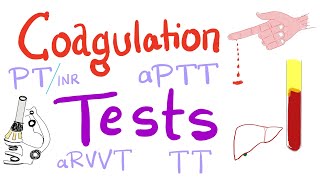 Coagulation Tests  PT aPTT TT Fibrinogen Mixing Studies [upl. by Ynneb]