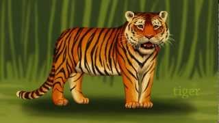 Jungle Animals  Kids animals  Zoo animals for preschool and kindergarten kids 🐍 [upl. by Enneirb102]