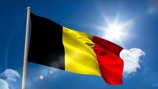 Fête nationale Belge  Défilé militaire du 21072019 [upl. by Lashoh]