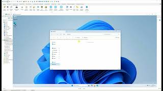 Winuscon 12 and Windows Sandbox on Windows 11 Professional [upl. by Er]