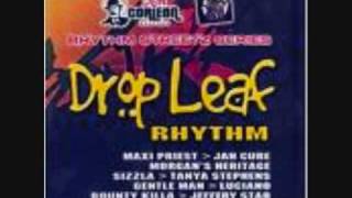 Drop Leaf Riddim Mix [upl. by Gardiner]