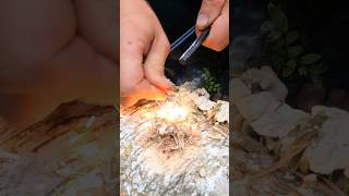 Survival Skills Birch Bark Fire survival camping skills [upl. by Searle651]