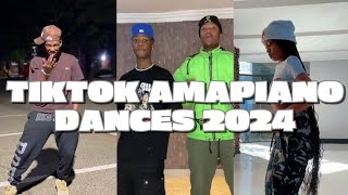 Best of Amapiano Dance Challenges 2024 [upl. by Enniroc37]