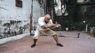 Rare and Ancient Tai Chi Monkeyfist Sequence [upl. by Converse]