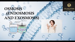 osmosis endosmosis exosmosis lecture3learn with funeasy to understandbiology plantphysiology [upl. by Irual]