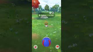 Shiny Hunting A Shiny Meltan in Pokemon Go For a Living Dex No Commentary shinypokemon shorts [upl. by Jobyna]