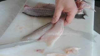 Goldbrassen oder Dorade filetieren  How to filet bream [upl. by Mccafferty]