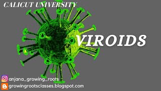 VIROIDS  Malayalam Explanation Of Viroids  BSc Botany 3rd Semester  Calicut university [upl. by Ennelram]