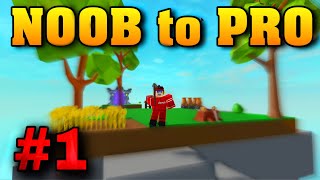 STARTING OUT AS A NOOB POOR NOOB to PRO 1  Roblox Islands ROBLOX [upl. by Quince]