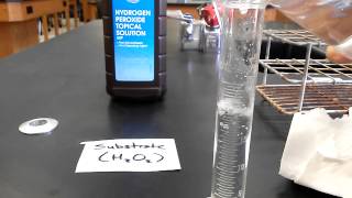 AP Bio Enzyme Catalysis Demonstration [upl. by Nalym326]