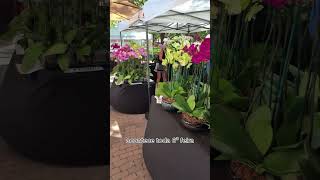 Windermere FL Farmer Market [upl. by Billie]