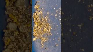 You CAN Roast Quartz to Extract Gold [upl. by Bunni360]