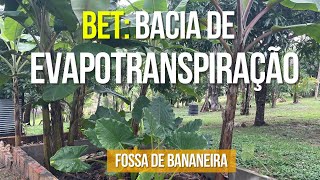 FOSSA DE BANANEIRA  FOSSA ECOLÓGICA  BET  Bacia de evapotranspiração [upl. by Dijam]