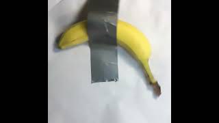 banana song music musicvideo indiemusic remix artinmotion [upl. by Caddaric]