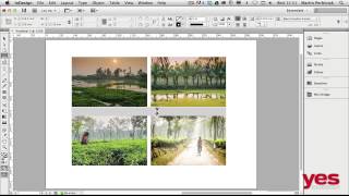 The Gap tool in InDesign [upl. by Colver]