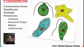 Protozoários e Protozooses 1 [upl. by Atnauqal]