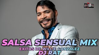 SALSA SENSUAL MIX 2023 ❌ DJ RAT  EXITOS DE WILLIE GONZALEZ  LATAKILLA507 LaTakillaMixes [upl. by Yanrahc898]