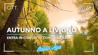 AUTUNNO A LIVIGNO  4K WALKING TOUR [upl. by Elehcir993]