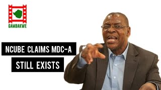 Welshman Ncube claims MDC Alliance still exists [upl. by Aehtna836]