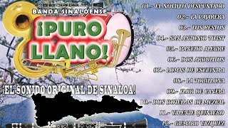 Banda Sinaloense Puro Llano  Pura Musica De Viento El Sonido Original De Sinaloa Album Completo [upl. by Tattan893]