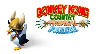 DONKEY KONG COUNTRY TROPICAL FREEZE 12  Congelado [upl. by Bowrah377]