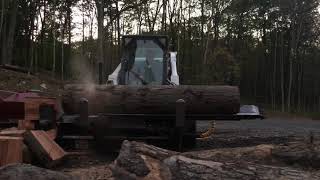 20” Log VS Halverson Wood Processor HWP140b [upl. by Begga261]