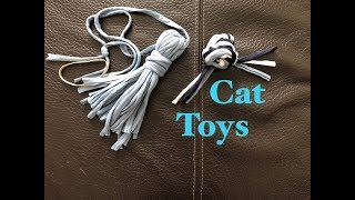 Ophelia Talks about Cat Toys [upl. by Angell856]