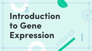 Prokaryotic Gene Regulation Lac Operon [upl. by Sall21]