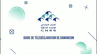 Nouveau DAMANCOM  Guide de Télédéclaration [upl. by Shepperd]