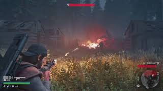 DAYS GONE  Horde Killer  Oleary Mountain Horde [upl. by Peer]