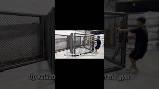 Foldable MMA Cage  Octagon MMA mma fitness gym ufc [upl. by Naid]