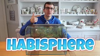 What to put in a HABISPHERE tank  Tank Suggestions [upl. by Svetlana]